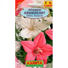 Ипомея КВАМОКЛИТ КРУЖЕВО смесь 0,5гр