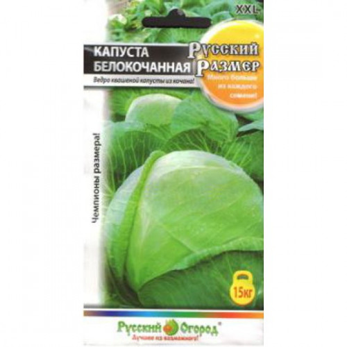 Капуста б/к РУССКИЙ РАЗМЕР 50 шт.(НК)