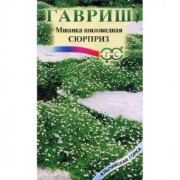 Мшанка СЮРПРИЗ