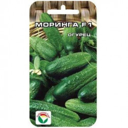 Огурец МОРИНГА 7 шт.(Сиб.сад)