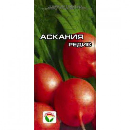 Редис АСКАНИЯ 2 гр.(Сиб.сад)