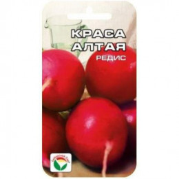 Редис КРАСА АЛТАЯ 2 гр.(Сиб.сад)