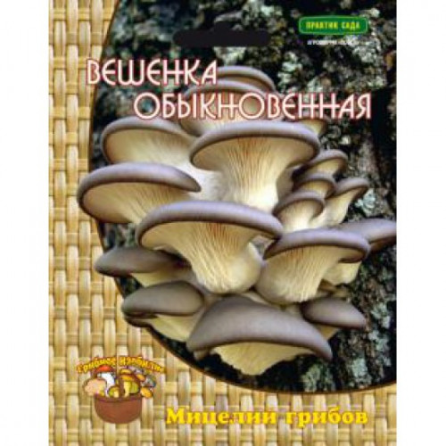 Вешенка ОБЫКНОВЕННАЯ 12 шт.(Гавриш)