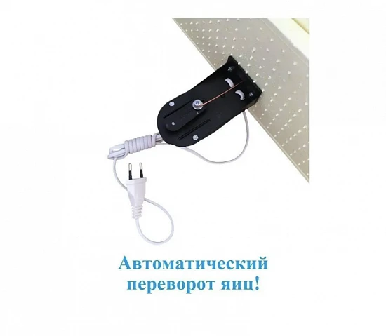 Инкубатор Золушка на 28 яиц 12/220В, автоматический поворот, цифровой терморегулятор, решетки.