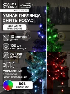 Умная гирлянда «Нить» 10 м роса, IP20, серебристая нить, 100 LED, управление с приложения, свечение RGB, USB