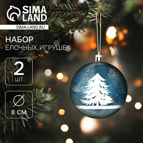 Ёлочные игрушки «Зимняя сказка», шары новогодние, d=8 см, набор 2 шт., бело-голубой