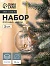 Ёлочные игрушки «Фиеста», шары новогодние, d=8 см, набор 2 шт., веточка, золото