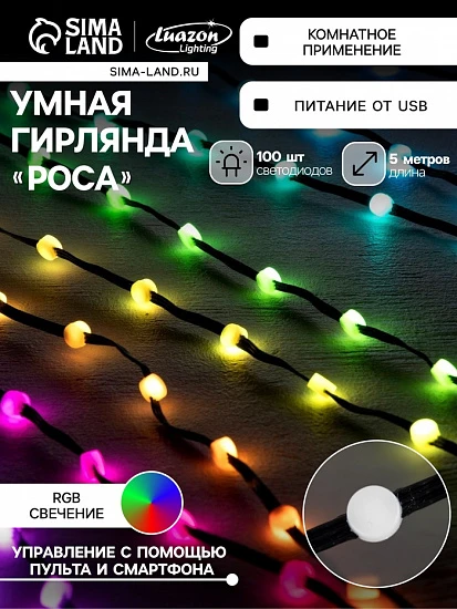 Умная гирлянда «Нить» 5 м роса с насадками «Шарики», IP20, черный провод, 100 LED, пульт ДУ, приложение, свечение RGB, USB