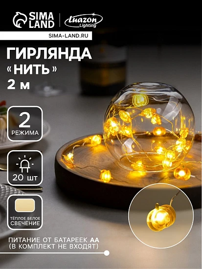 Гирлянда «Нить» 2 м роса с насадками «Тыква», IP20, серебристая нить, 20 LED, свечение тёплое белое, 2 режима, ААх2