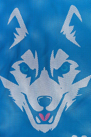 Мешок для мокрых вещей  Dry mesh bag Husky Синий