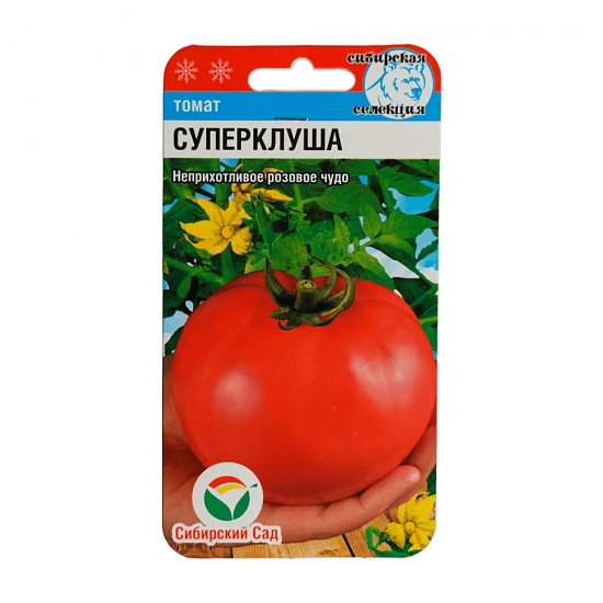 Томат "Суперклуша" Сибирский сад
