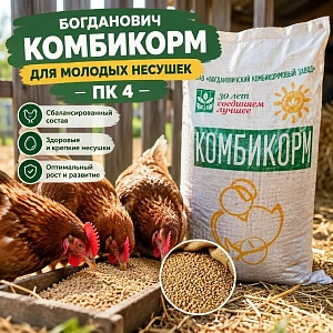 Богданович комбикорм для молодых несушек, ПК 4, мешок 40кг