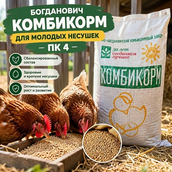Богданович комбикорм для молодых несушек, ПК 4, мешок 40кг