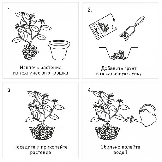 Грунт Здоровая земля Terra Forte 25л