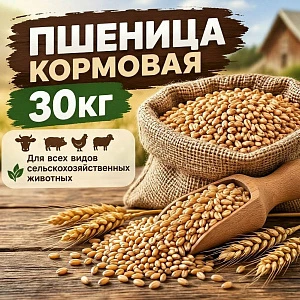 Пшеница кормовая 30кг, для всех видов сельскохозяйственных животных