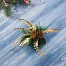 Ёлочные игрушки 2 шт. «Зимнее волшебство. Композиция на бантике» пластик, сосулька, 11×11 см