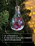 Ёлочный шар «Ягоды», 5 LED, от батареек, свечение белое